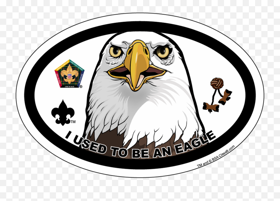 Old Logo Wood Badge Eagle Oval Magnet - Boy Scouts Of America Png,Eagle Head Logo