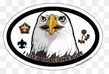 Old Logo Wood Badge Eagle Oval Magnet - Boy Scouts Of America Png,Eagle Head Logo