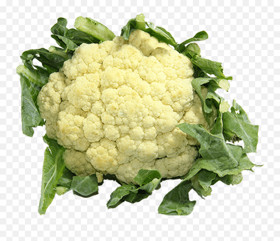 Cauliflower - Gobi Png,Cauliflower Png