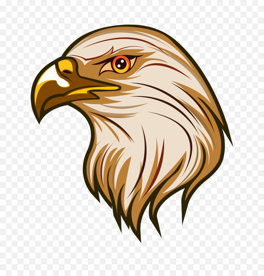 Eagles Clipart Bird Transparent Free For - Eagle Clip Arts Png,Bald Eagle Png