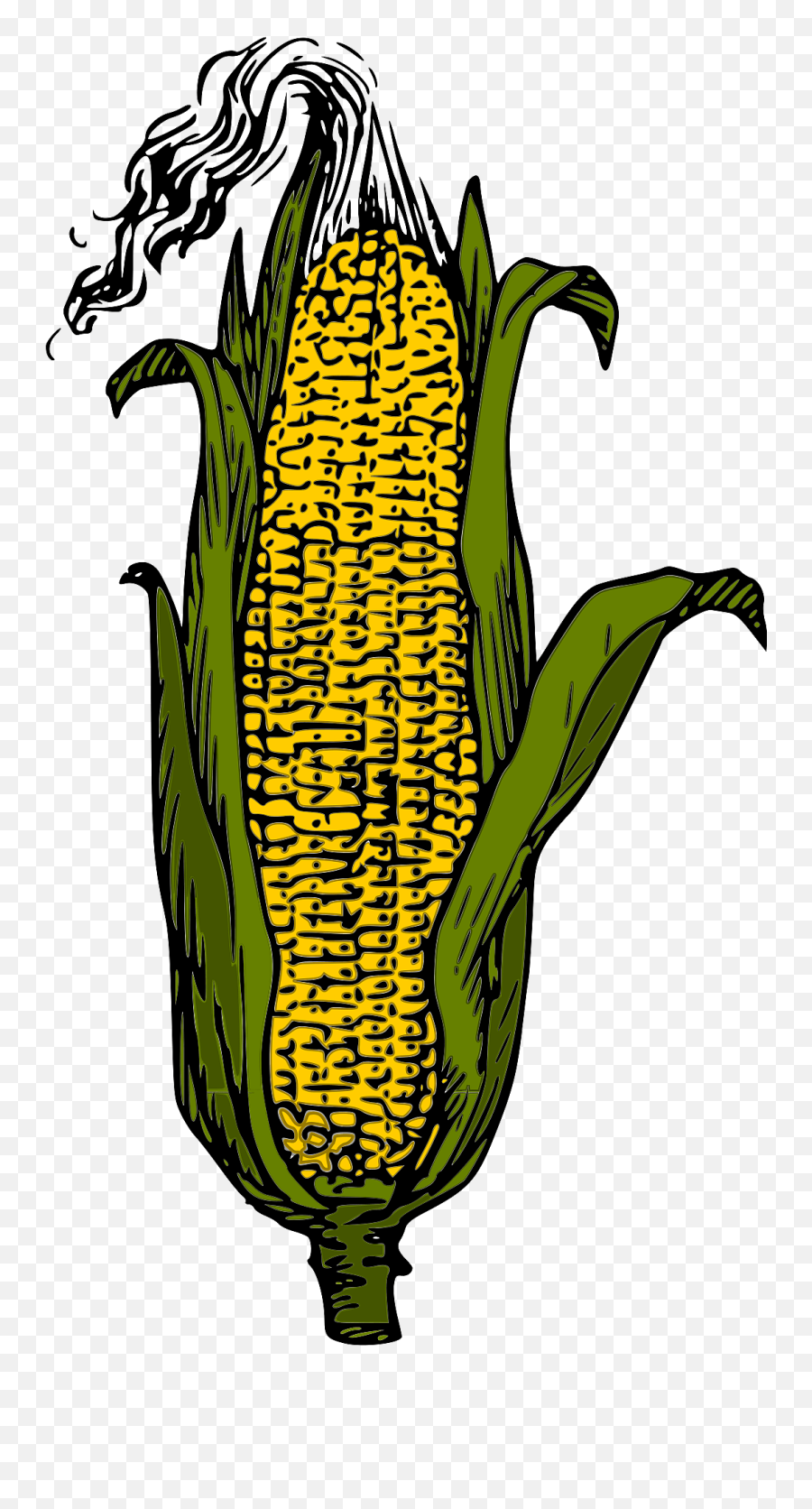 Corn Clipart Free Download Creazilla - Grain As Big As A Egg Png,Corn Cob Png