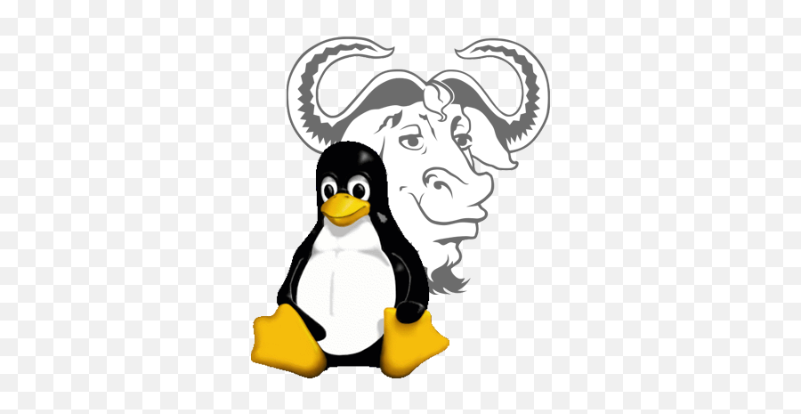 Gnu c linux