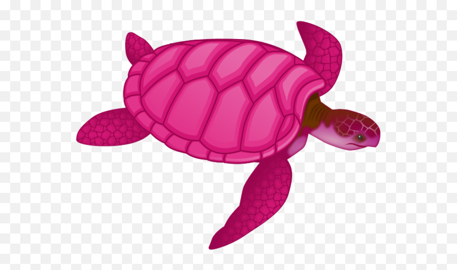 Download Sea Turtle Clipart Pink - Pink Turtle Clipart Png,Turtle Clipart Png