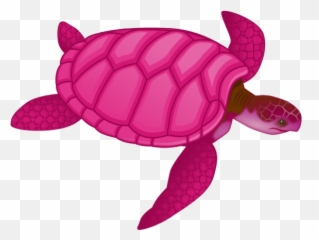 Download Sea Turtle Clipart Pink - Pink Turtle Clipart Png,Turtle Clipart Png