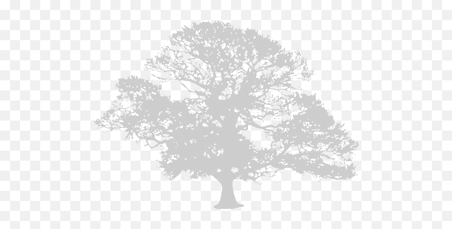 Claxton Grange - Tierra Cultura Libertad Logo Png,Oak Tree Silhouette Png