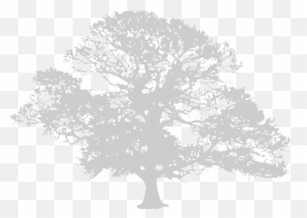 Claxton Grange - Tierra Cultura Libertad Logo png