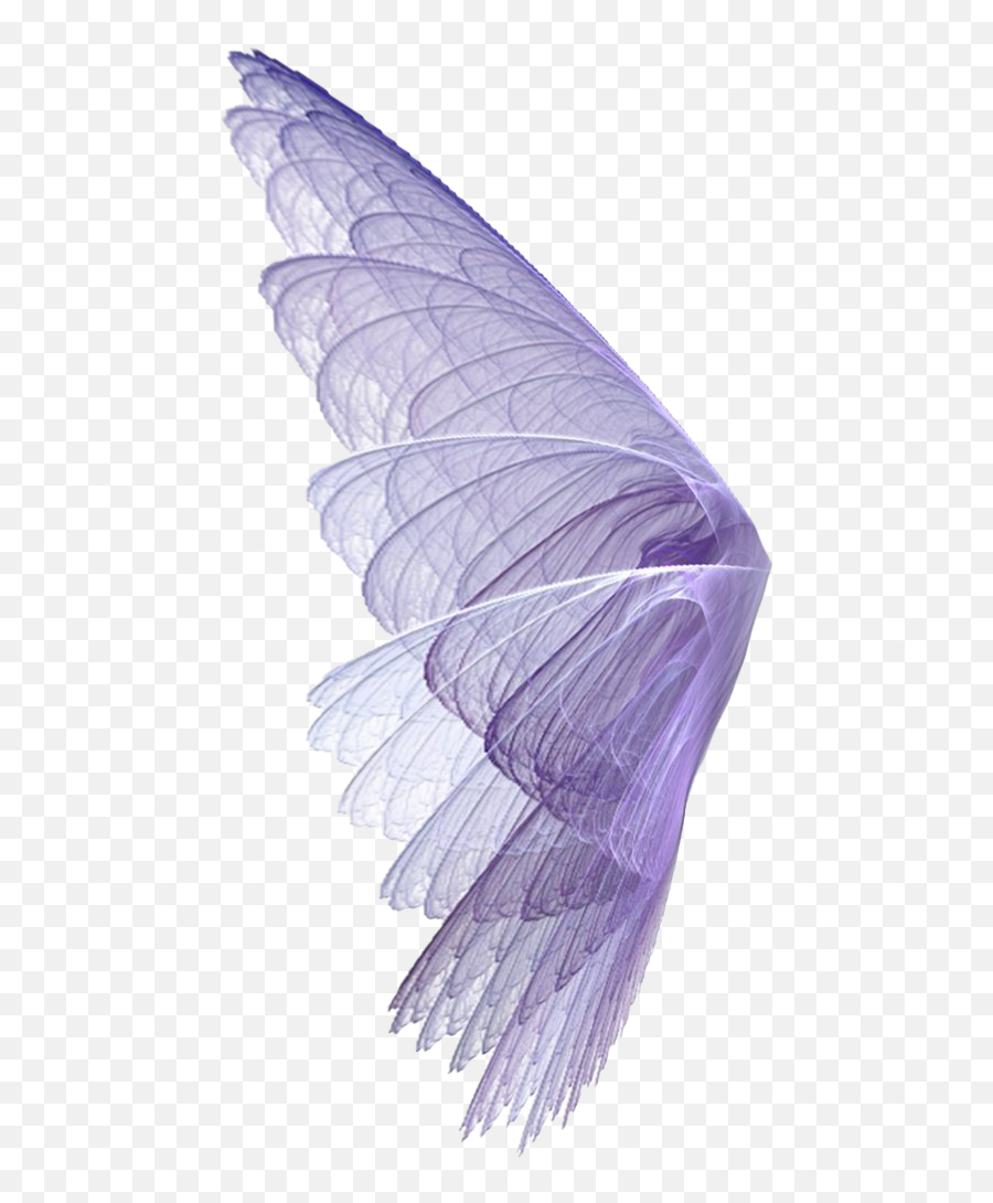Realistic Fairy Wings Png Picture - Transparent Background Fairy Wings Transparent,Fairy Wings Png
