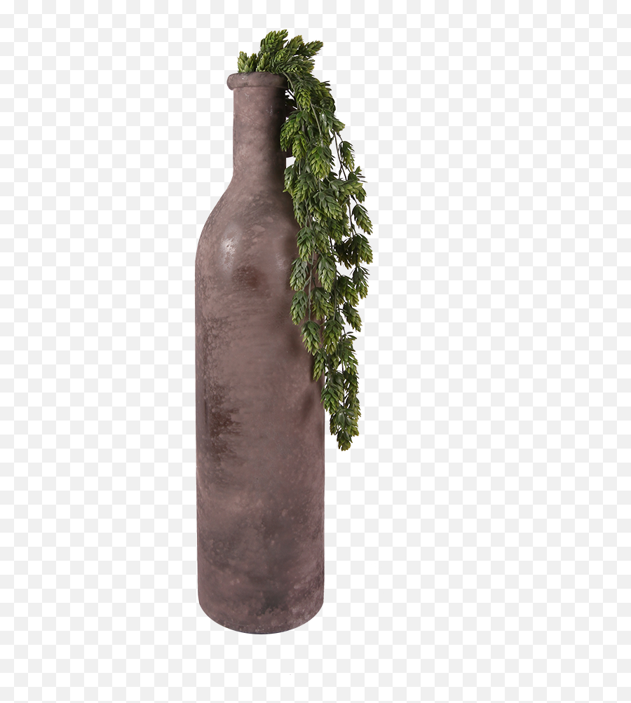 Living Kuwait - Glass Bottle Png,Hanging Plants Png