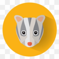 T4w Membership And Donate To Friends Of - Leadbeaters Possum Png,Possum Transparent