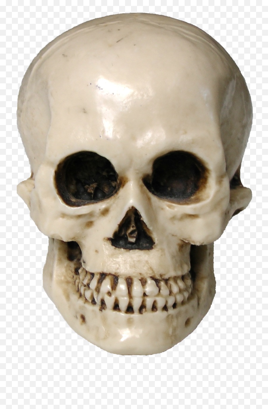 Download Skull Png Image For Free Skeleton Transparent