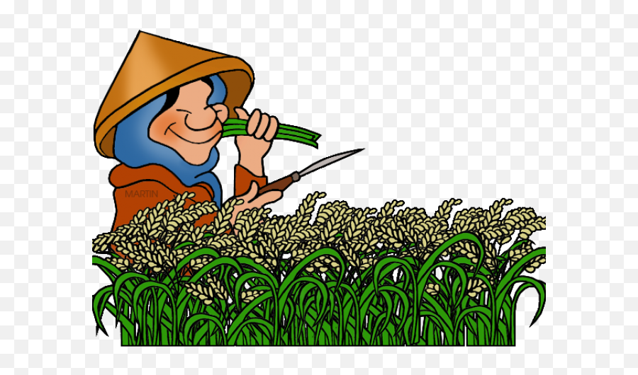 Rice Clipart - Clipart Rice Plant Png Download Full Size Agriculture Cartoon,Crops Png