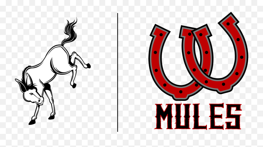 The Great Mascot Debate Wahkiakum Mules Preps Tdncom - Wahkiakum Mules Logo Png,Mascot Logos