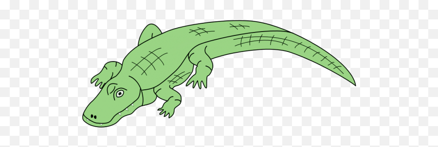 Transparent Image - Alligator Clip Art Png,Alligator Transparent