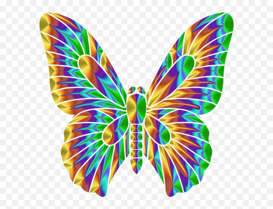 Free Photo Insect Rainbow Wings Abstract Flying Butterfly - Gambar Sayap Kupu Kupu Keren Png,Flying Butterfly Png