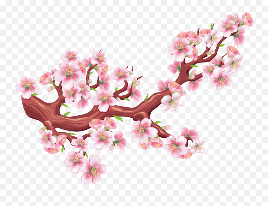 Sakura Png Hotuna Free Download - Cherry Blossom Graphic,Sakura Png