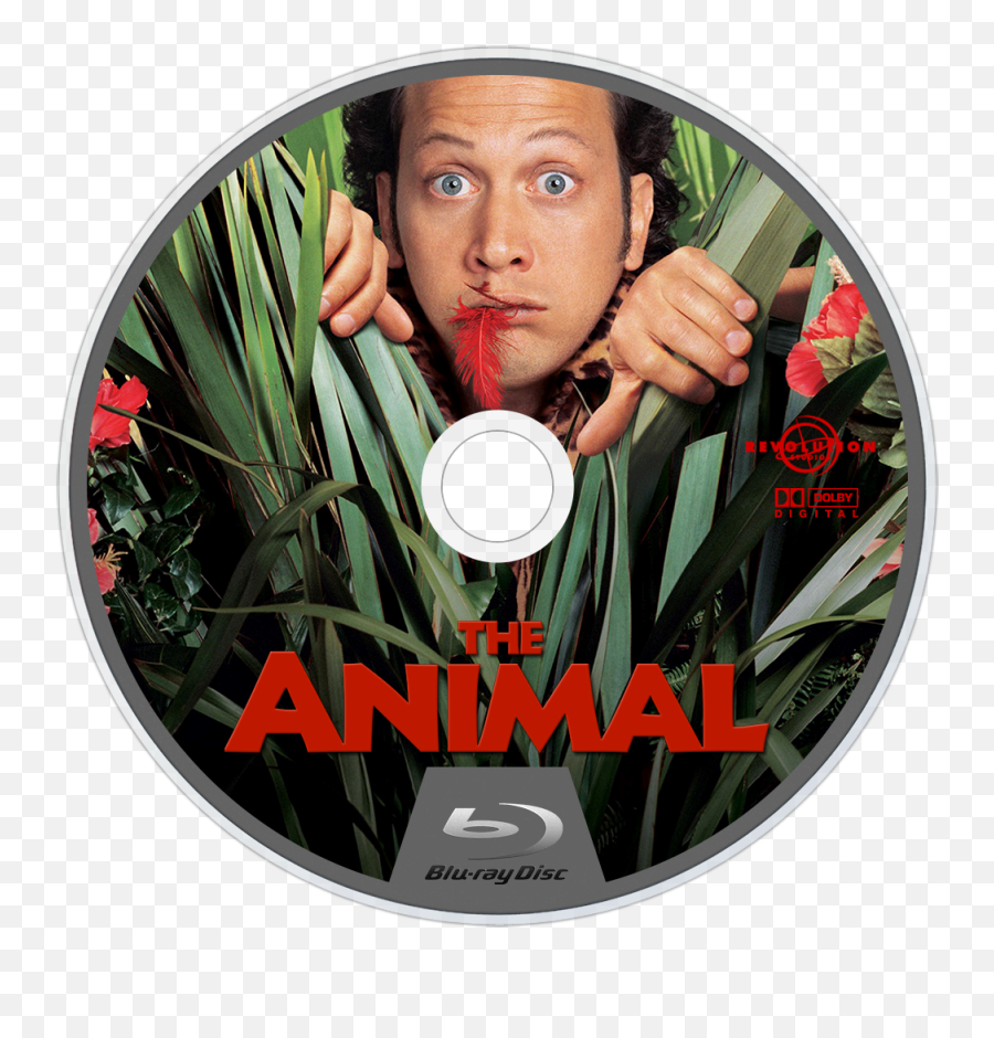 The Animal 2001 Dvd - The Animal Dvd Case Icon Transparent Animal 2001 Label Dvd Png,Icon Dvd Case