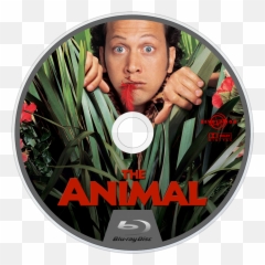The Animal 2001 Dvd - Case Icon Transparent Label png