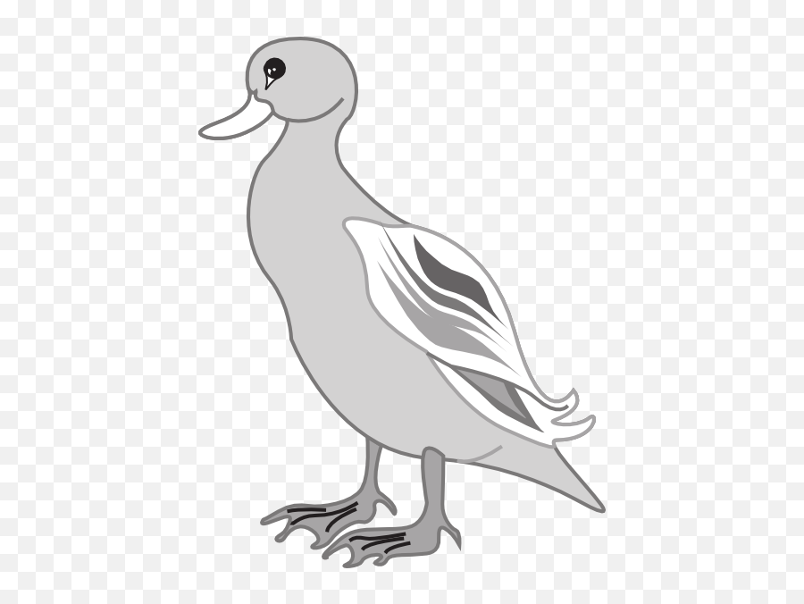 White Duck - Gray Duck Clipart Transparent Png Original Grey Duck Clipart,Duck Clipart Png