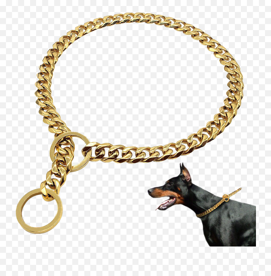 Gold Dog Chain Png All - Choke Collar For Dogs,Gold Chain Png