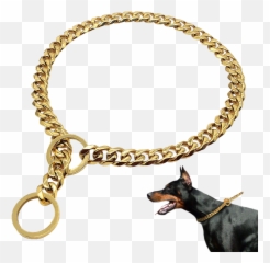 Gold Dog Chain Png All - Choke Collar For Dogs