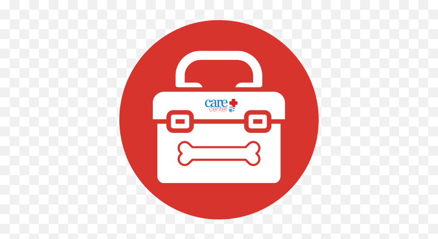 Er Toolkit Icon - Care Center Veterinarians Emergency Language Png,Physical Icon