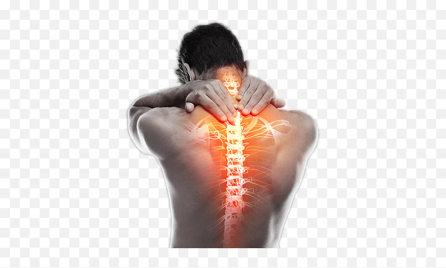 Sarasota Pain Treatment Center U0026 Management - Back Pain No Background Png,Pain Transparent