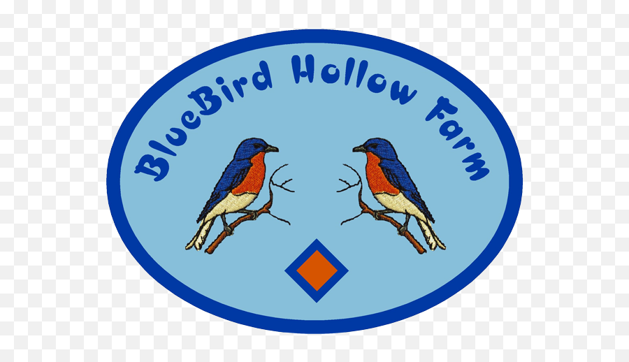 Bluebird Conservation Lafayette Nonprofit Organization - Bird Png,Blue Bird Png