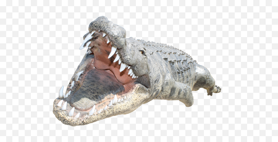 Crocodile Png Images - Crocodile Png,Crocodile Png