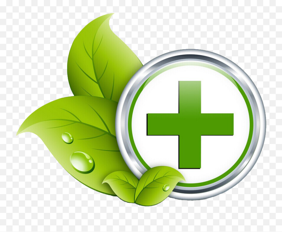 Download Green Healthcare Medicine Health Care Icon Hq Png - Green Health Icon Png,Medicine Png