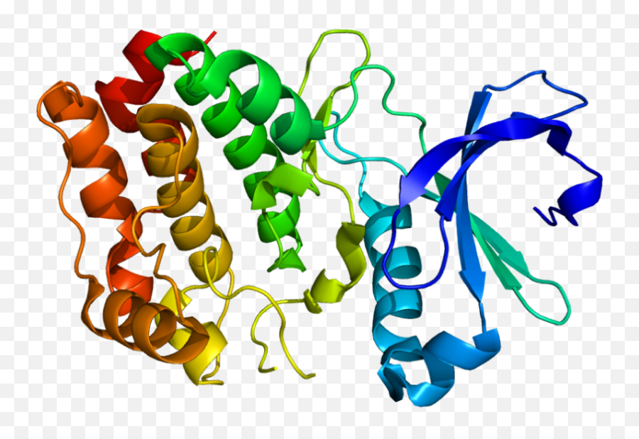 Promising Proteins Scientists Develop New Drug Discovery - Kinase Protein Png,Molecule Png