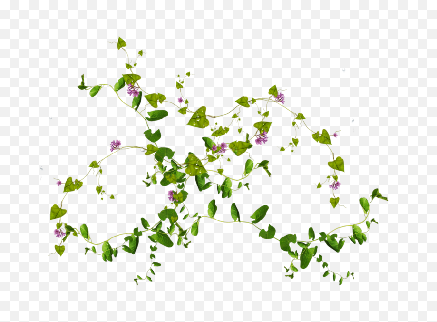 Png Psd - Flowers And Leaves Png,Flower Vine Png