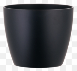Botanicus Buffalo Ny - Asi Phoenix Containers Png,Planter Png