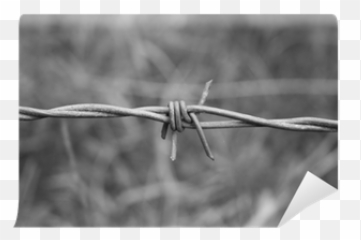 Barbed Wire Wall Mural U2022 Pixers - We live to change Barbed Wire png