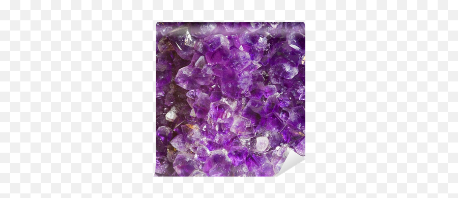 Amethyst Crystals Close - Up Druze Within A Very Large Geode Wall Mural U2022 Pixers We Live To Change Solid Png,Geode Png