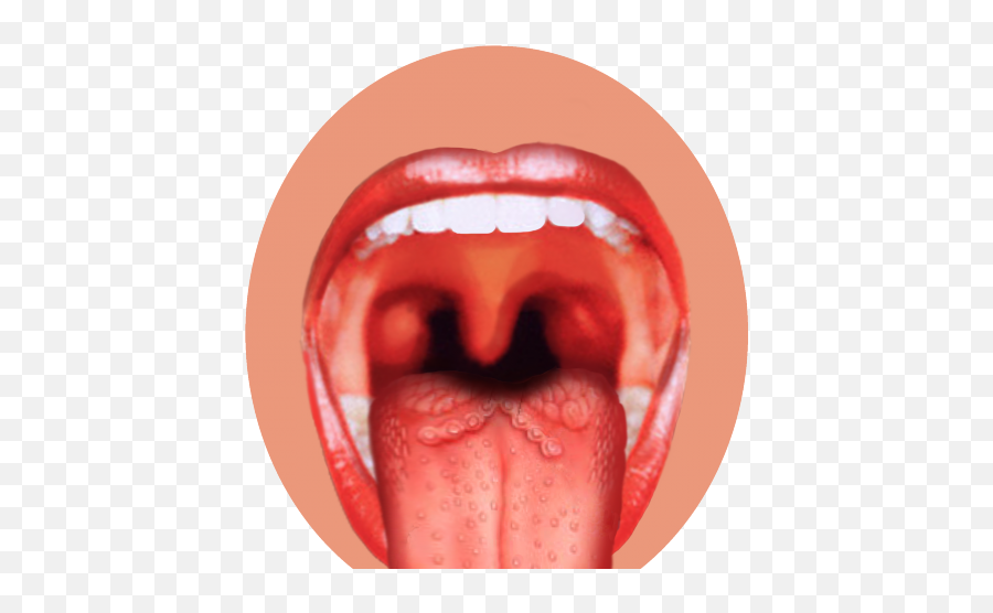 Download Hd Drawn Tongue Png Transparent - Taste Buds Png Tongue With Taste Buds,Tongue Transparent Background