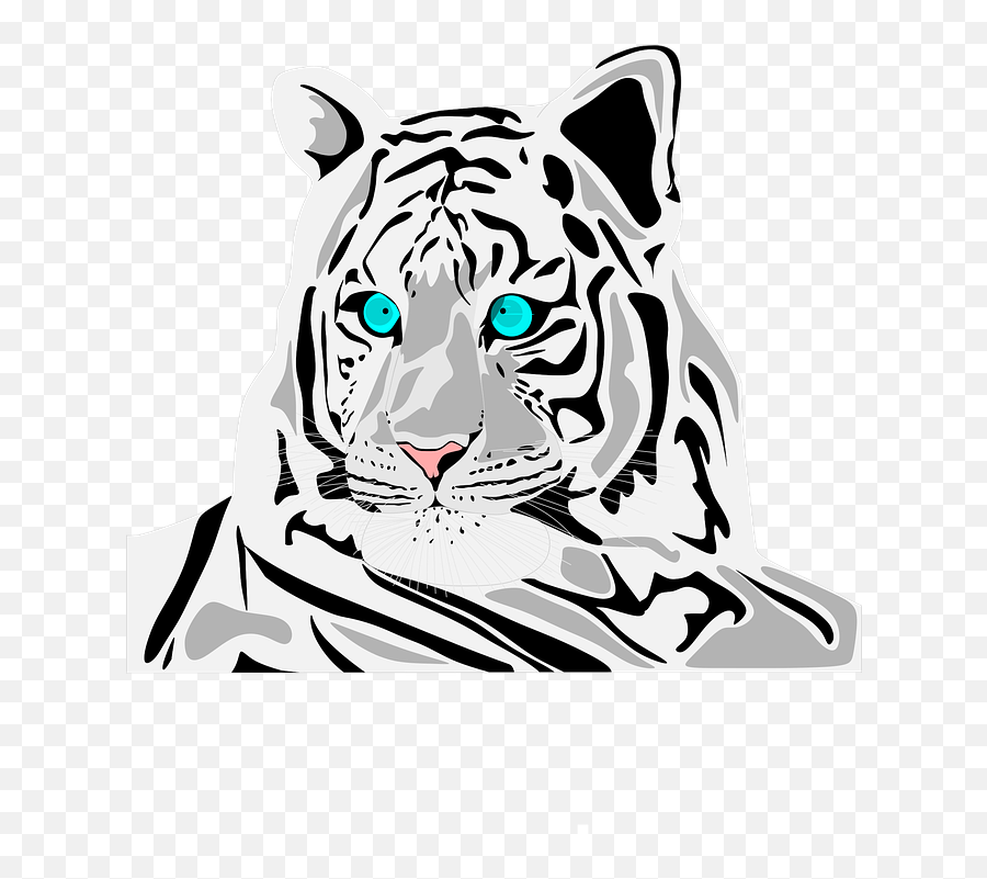 White Tiger - Tiger Png,White Tiger Png