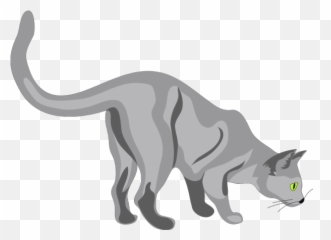 30 Free Cat Tail U0026 Vectors - Pixabay Clip Art png