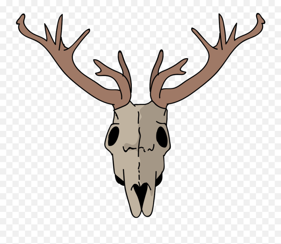 Deer Skull Clipart Transparent - Clipart World Deer Skull Clipart Png,Skull Transparent Png
