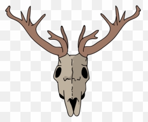 Deer Skull Clipart Transparent - Clipart World png