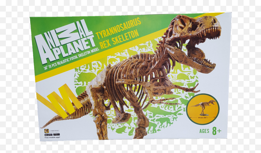 Animal Planet - Tyrannosaurus Rex 36u201d Skeleton Fossil Model Animal Planet Png,Animal Planet Logo Png