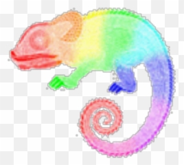 Chameleon Logo Transparent Background - Roblox png