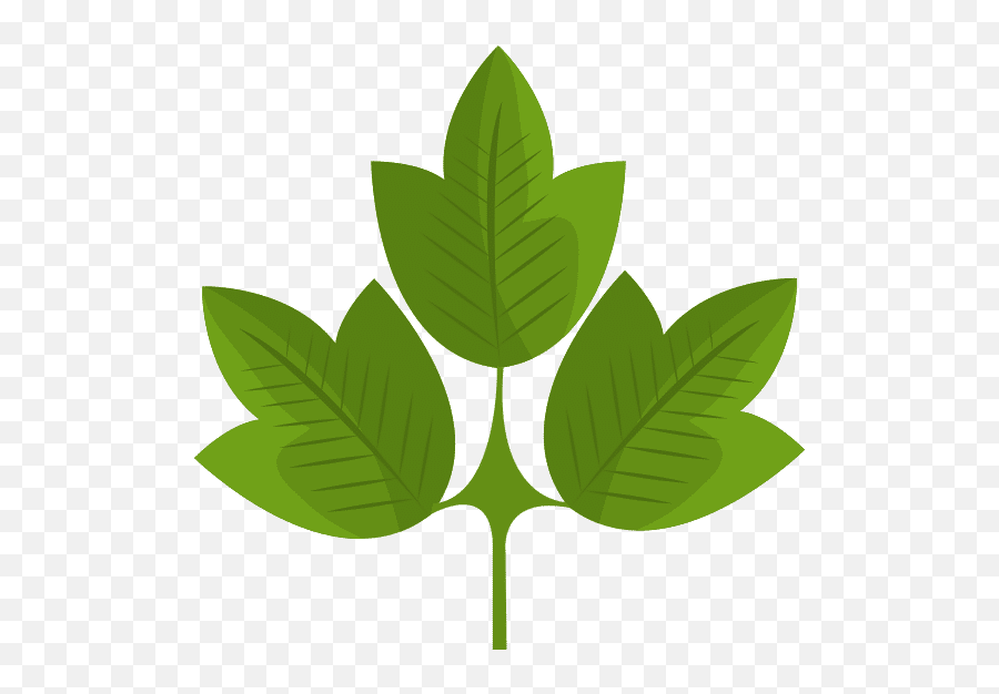 Leafy Tree Icon - Canva Theme For Water Save Png,Leafy Icon