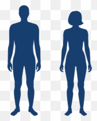 Mr - Obese Woman Silhouette png
