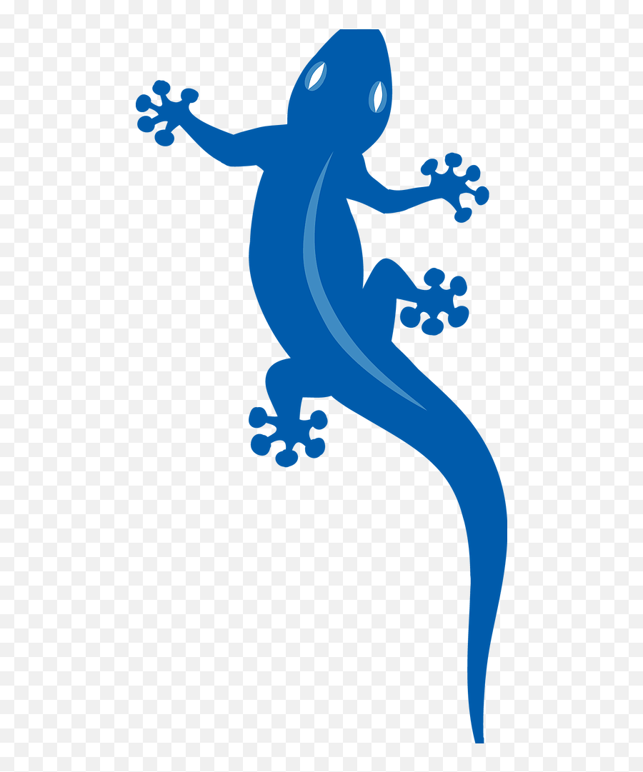 Home - Clip Art Png,Gecko Png