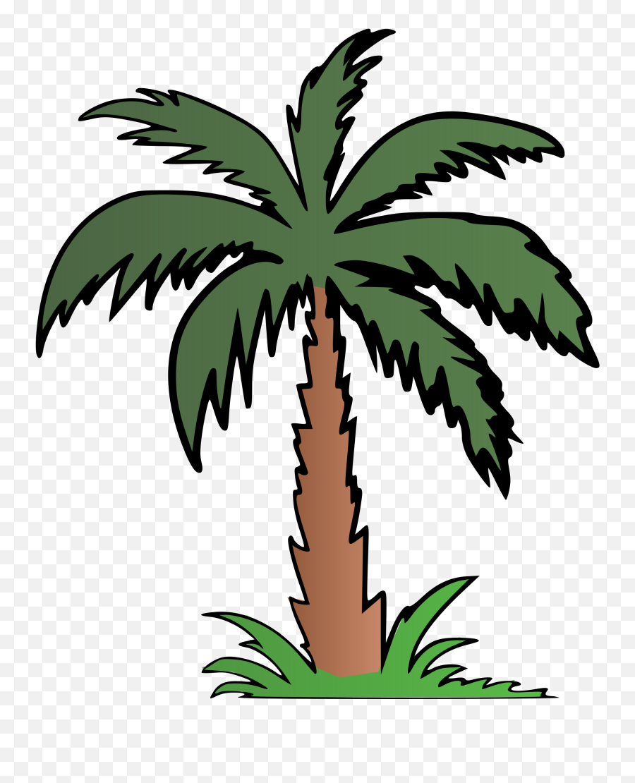 Download Palm Tree Clipart Terrestrial Plant - Palm Tree Palm Tree Clipart Black And White Png,Palm Tree Clipart Transparent Background