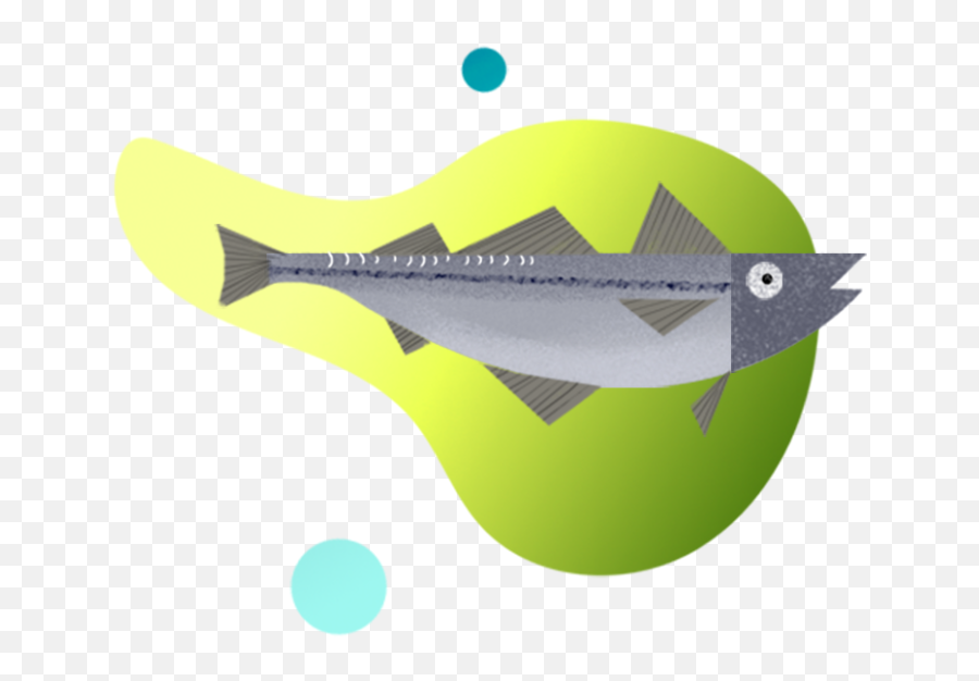 Species - Newtechaqua Fish Products Png,Ahi Fish Icon