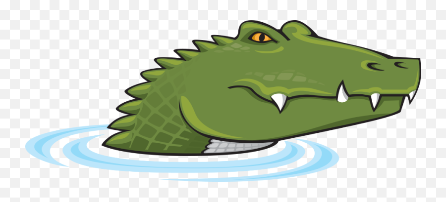Download Alligator Charlotte Nc Picture - Cartoon Crocodile No Background Png,Alligator Transparent Background