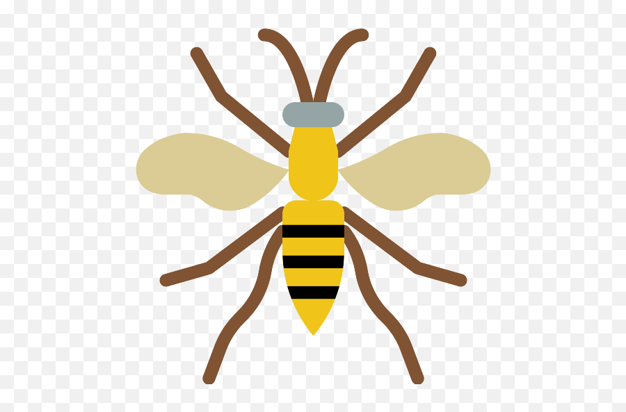 Wasp Png Icon - Honeybee,Wasp Png