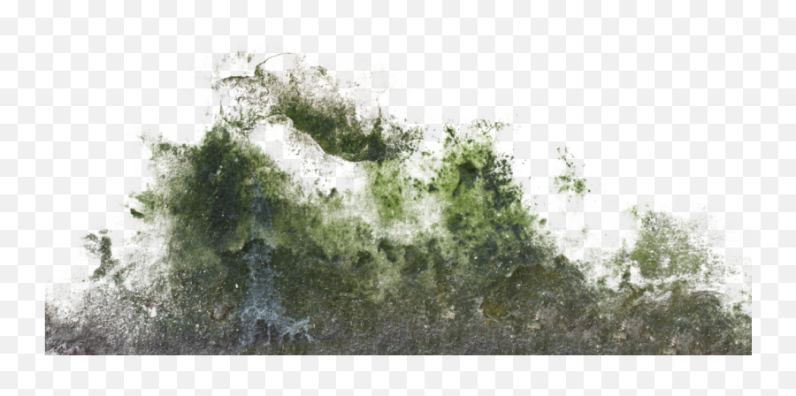 Decalbottom0027 1 S Decalbottom0029 - Wall Stain Png,Moss Png