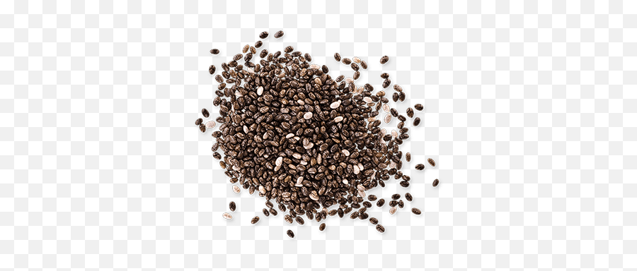 Download Chia Seeds Png - Peppercorn Png,Seed Png